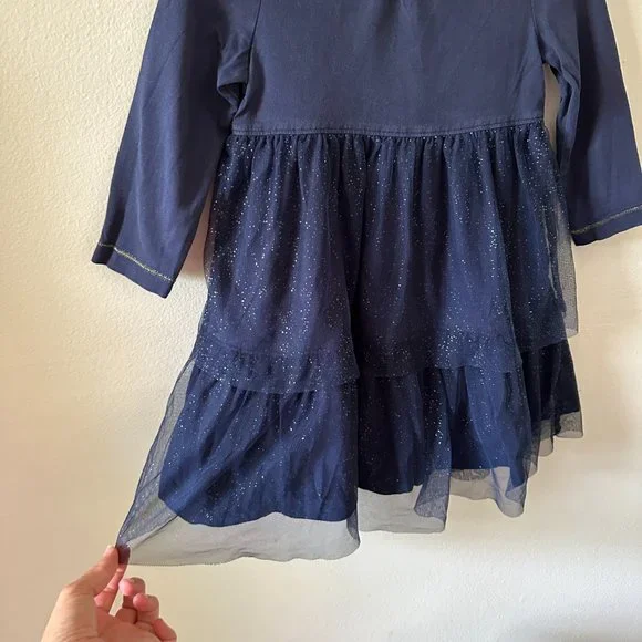 Hanna Andersson Tulle Sparkly Blue Ruffle Long Sleeve Dress C003 - Picture 2 of 4